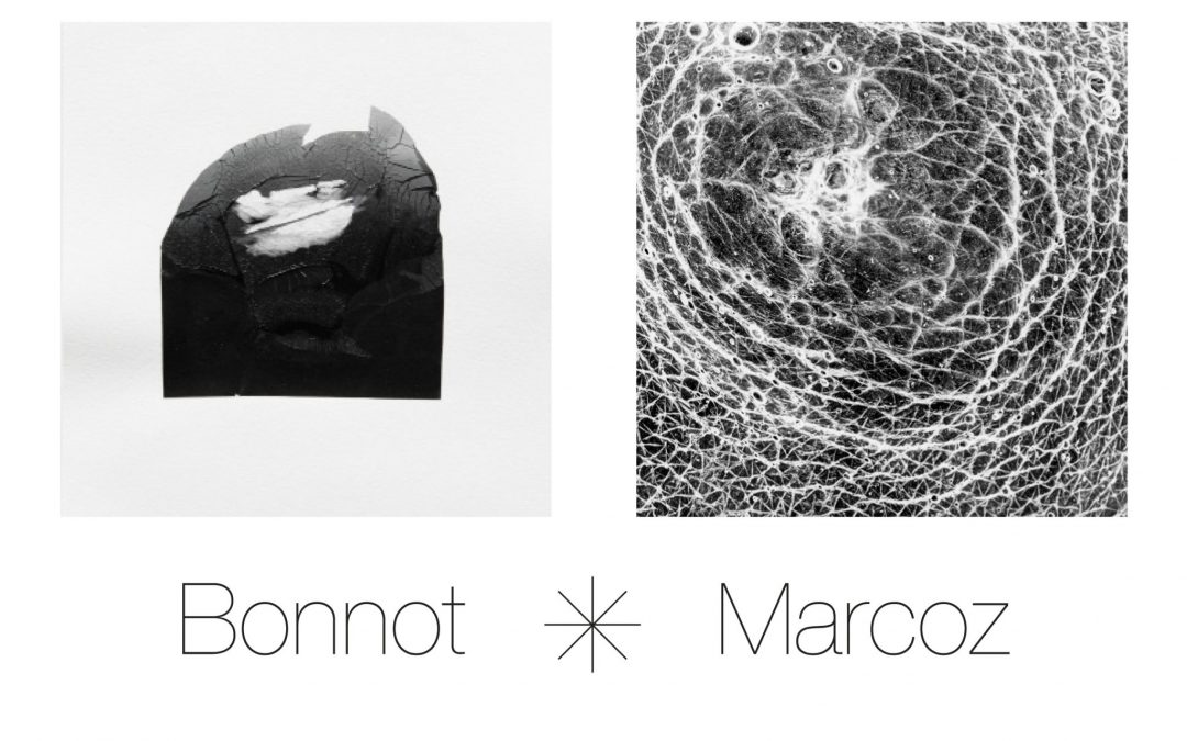 « La Peau, Bonnot # Marcoz » Exposition spéciale Nuit des Arts, Mai 2016